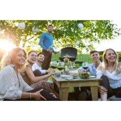 Napoleon Gasgrill TravelQ TQ285 Mit 2 Brennern & Klappbarem Wagen Schwarz -Grillplatz Im Freien 1 1104 TQ285X 03 Lifestyle