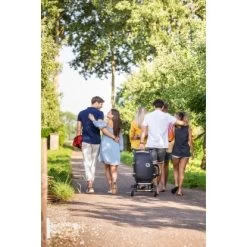 Napoleon Gasgrill TravelQ TQ285 Mit 2 Brennern & Klappbarem Wagen Schwarz -Grillplatz Im Freien 1 1104 TQ285X 04 Lifestyle